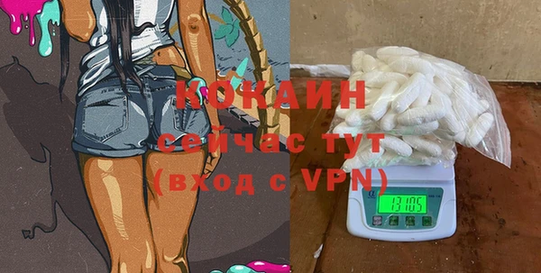 прущие грибы Тайга